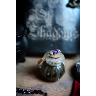 Les héritières de la Cailleach - Dernier Disponible