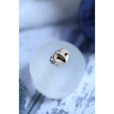 Les yeux de la nuit - Dernière disponible