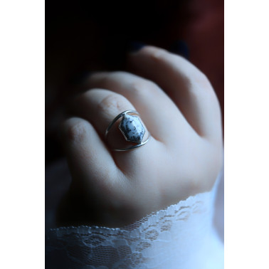 Les premières neiges