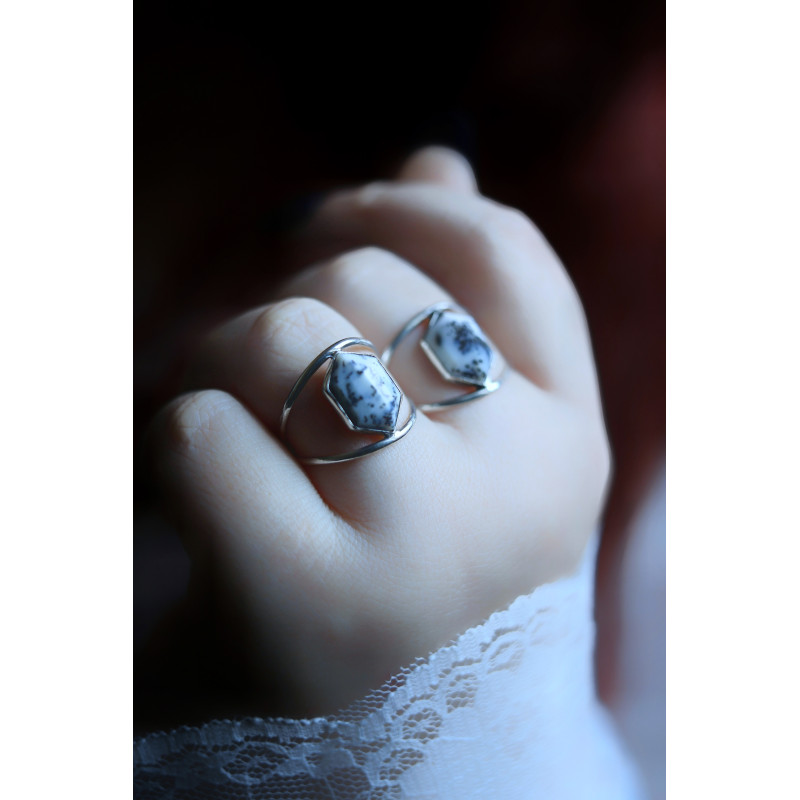 Les premières neiges