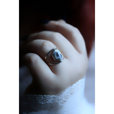 Les premières neiges - Dernières disponible