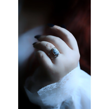 Les premières neiges