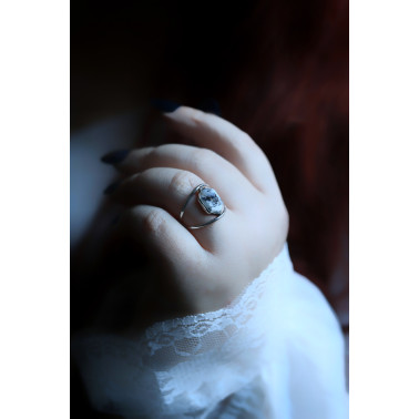 Les premières neiges - Dernières disponible