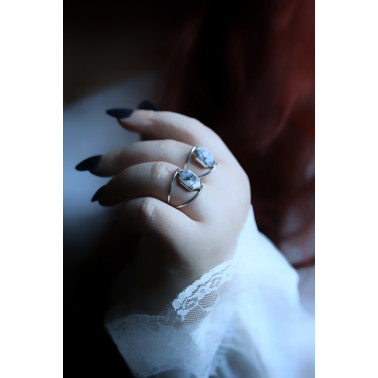 Les premières neiges