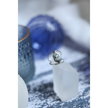 Les premières neiges