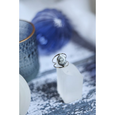 Les premières neiges