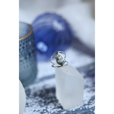 Les premières neiges