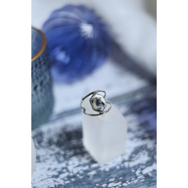 Les premières neiges - Dernières disponible