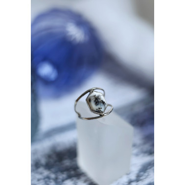 Les premières neiges - Dernières disponible