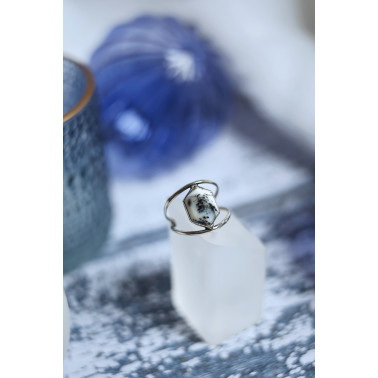 Les premières neiges - Dernières disponible