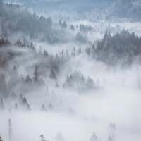 La Poésie du Froid ❄️🌬️🤍 

L’hiver nous appelle plus loin.
Dans de grandes étendues où tout semble se confondre. Dans des forêts profondes, des blancheurs sans fin, des ciels blancs qui figent l’horizon ☁️ 

Pour s’y perdre, un peu.
Mais se perdre n’est pas toujours une chute. C'est parfois se retrouver. 

Nous portons chacun notre propre Hiver 🌬️  Là où tout ralentit, où quelque chose cherche à se taire pour mieux renaître. 

Parfois, c’est simplement s’éloigner de ce qui fait trop de bruit. S’abandonner aux chemins qui ne demandent rien, si ce n’est d’avancer lentement, pas après pas ❄️ 

Dans ces paysages où le monde ralentit, quelque chose en nous s’éclaircit.
Le froid enlève le superflu.
La neige recouvre ce qui devait dormir.
Les grandes forêts gardent pour nous ce que nous ne sommes pas encore prêts à affronter. 
Dans l’immobilité, quelque chose se répare. Dans le froid, quelque chose se rassemble. 

C’est une saison pour se taire. Pour s'écouter. Pour sentir, sous la glace, la vie qui continue de battre, discrète, patiente.. Et qui quand viendra le printemps, se réveillera avec une lumière nouvelle ✨ 

L’hiver n’est pas une fin, c’est une préparation 🤍 

Vous venez vous perdre un peu avec moi  🫴🏻 ? 

Voici ce soir la troisième et dernière photo d'illustration qui accompagnera vos jolies commandes de cette collection 🌲 

Maintenant que vous les connaissez toutes, dites-moi laquelle est votre favorite ? 🤍 

La nouvelle collection ~ La Poésie du Froid ~ sortira le lundi 8 décembre à 20h 🤍🌬️❄️ 

#cybijoux #hiver #witch #metalsmith #jewellery #sterlingjewelry #winterwitch #artist #witchyvibes #jeweler #jewelry #christmasaesthetic #jewellerydesign #bijouxfaitmain
#silverjewelry #artisanat #faitmain
#artisandefrance #winteraesthetic #hiver #christmasgiftideas #winter #neige #noelaesthetic #ideecadeau #christmas #snow
#cadeaufaitmain #noel2025 #yule