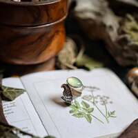 Fougère - La gardienne des secrets 🌿 

Dans les traditions anciennes, une vielle légende slave raconte que la fougère ne fleurit qu'une seule nuit dans l'année, celle du solstice d’été ☀️ 

Une nuit par an, celle de Kapula, la nuit la plus courte de l'année, la nature ouvre une brèche dans le réel et une fleur fantôme éclot ✨️ 

À minuit, entre le dernier souffle du jour et le premier chant de l’aube, la fougère fleurit 🏵 

Ce miracle ne dure qu’un instant. Invisible aux yeux non initiés, elle ne se révèle qu’aux cœurs purs, à ceux qui n'ont pas peur de marcher seuls dans l’ombre des bois 🌿 

La Fleur de Fougère n’est pas une fleur comme les autres. Elle est le symbole de la connaissance cachée, d'un pouvoir intérieur puissant, d'un destin accompli..Trouver cette fleur invisible porterait chance, clairvoyance et permettrait d'obtenir la connaissance sacré des plantes, le langage secret des animaux, de devenir invisible comme on le souhaite et de trouver l’or caché sous la terre 🌿 

Dès lors, à chaque solstice d'été,  quelques âmes rêveuses s’enfoncent dans les bois, espérant apercevoir, l’espace d’un battement de cœur, la lumière enchantée d'une fleur de fougère 🏵 

Serez-vous les prochains ? 

Assortie à notre médaillon, je vous ai également créé une jolie bague talisman fougère 🌿
En argent massif 925, entièrement fait main par mes soins à l'atelier et toujours en taille réglable pour s'adapter a tous vos besoins et a toutes les morphologies ✨️ 

Elle protège une douce pierre de prenhite, au vert tendre avec une lumière incroyable, et son anneau fait de délicates fougères sculptées 🌿 

J'espère qu'elle vous plaira autant qu'à moi 💚 

Pièce unique disponible le lundi 19 mai à 20h pour la nouvelle collection ~ Sorcières Vertes ~ 🌿🧙‍♀️🍵 

#cybijoux #metalsmith #bijouterie #magic #witch #witchlife #jewelry #jewellerydesign #ladysmith  #faitmain #handemade #greenwitch #green #mysticjewelry #slowcraft  #witchvibes #naturalwitch #plants #silverjewelry #botanical #forest #witchjewelry #naturemagic #forestwitch #magicaljewelry #herbalwitch #esoteric #artisanbijoutier #flower #Instawitch