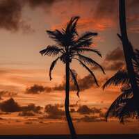 Repos ☀️ 

Bonsoir à tous, 

Après ce merveilleux voyage au cœur du Pacifique, cette année magique et ces derniers mois si intenses, il est temps pour moi de prendre enfin un peu de repos 🏝 

Pour continuer à vous partager de la magie, il faut aussi que je prenne soin de la mienne ✨️ Ralentir, me ressourcer, écouter la nature, suivre son rythme pour y puiser l’inspiration 🩵 

Retrouver de belles énergies pour préparer nos prochains voyages et cette fin d’année qui s’annonce déjà magique ✨️ 

J’ai déjà hâte de vous dévoiler les nouveaux projets et les belles évolutions à venir pour l’atelier.. 😏🤫 

C’est toujours un peu difficile pour moi de décrocher de ce métier passion, de vous laisser, de lâcher prise.. Mais il faut savoir le faire pour mieux se retrouver 🩵 

L’atelier sera donc en vacances jusqu’au 31 août inclus ☀️ 

Je serai sûrement par ici de temps à autre, vous partagerez peut être quelques instants volés, mais je ne répondrai à aucun message pour l'atelier sur les réseaux avant le 31 août ☺ 

Pour toute urgence ou question importante, merci de passer directement par la boîte mail de la boutique, qui sera lue quotidiennement 💌 

Merci encore pour votre soutien si précieux 🩵 

On se retrouve très vite, avec magie 🔮
Prenez bien soin de vous 🙏
Et passez un merveilleux été ☀️
Cy 🌙 

#cybijoux #metalsmith #silverjewelry #jewelry #jewellerydesign #summer #silver #handmadejewelry #holiday #holidays #handmadejewelry #grateful #love #ete #sun