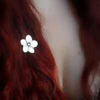 Le language des fleurs 🌺 

Fleur de magie à fleur de peau 🤍 

La fleur de frangipanier, cueillie au matin, encore perlée de nuit, se pose dans les cheveux, légère, parfumée, comme un rituel quotidien sacré ✨️ 

On la porte comme un secret discret, un message à demi-mot. Les fleurs ont leurs propres languages 🌺 

À Tahiti, on raconte que selon le côté ou elle est portée, elle parle d’amour ou de liberté..
À gauche pour un cœur déjà pris, à droite, elle invite aux rencontres 🤍 

Dans les cheveux, elle devient message.
Dans le vent, elle devient offrande.
Pour parler à ceux qui savent lire le monde autrement ✨️ 

Pour déposer des fleurs dans vos cheveux, ce soir c'est une barrette à cheveux unique que je vous présente 🌺
En argent massif 925 et entièrement réalisée main à l'atelier 🔥 

Une délicate fleur de frangipanier protégeant en son coeur une pierre de labradorite aux reflets magiques 🩵 

Pièce unique, disponible le lundi 28 juillet à 20h pour la sortie de la nouvelle collection ~ Les Chants Du Pacifique ~ 🏝🌺🐚 

#cybijoux #metalsmith #silverjewelry #jewelry #jewellerydesign #summer #silver #handmadejewelry #polynesian #tahiti #maori #hawaii #polynesia #newzealand #aotearoa #handmadejewelry #tahitianpearljewelry #tahitianpearls #tiki #mana #koru #tribal #tatau #sea #polynesianjewelry #tahitianjewelry #maorijewelry  #flowers