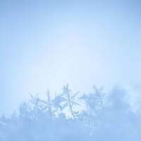 La Poésie du Froid ❄️🌬️🤍 

Il suffit parfois d’un souffle, d'un frémissement dans l’air, d'un matin frais. Il y a dans le froid, une douceur, une magie que l’on oublie trop souvent. Un silence qui apaise. Quand l’hiver s’installe et que le monde ralentit, c'est à ce moment là qu'on peut vraiment l'entendre respirer. 

Pour ce dernier de voyage de l'année je vous emmène avec moi, au cœur de l’hiver. Là où la neige se fait argent, où chaque souffle du froid porte en lui un secret précieux. Là où le givre ne se contente pas de recouvrir, il nous raconte des histoires 🌬️ 

Cette collection est un moment suspendu, fait de givre, de poésie et de silence. Un sentier tracé dans les pas légers de ceux qui savent écouter la saison froide 🤍 

Pour apprendre à aimer la beauté fragile de l’hiver, encore plus quand il est intérieur 🌨️ 

Le chemin s'ouvre, prenez ma main 🫴🏻 Respirez. 
Prenez votre temps. 
Écoutez. 
Le premier flocon de l'hiver vient de tomber.. ❄️ 

Voici la première photo d'illustration qui accompagnera vos jolies commandes de cette collection 🩵 

La nouvelle collection ~ La Poésie du Froid ~ sortira le lundi 8 décembre à 20h 🤍🌬️❄️

#cybijoux #hiver #witch #metalsmith #jewellery #sterlingjewelry #winterwitch #artist #witchyvibes #jeweler #jewelry #christmasaesthetic #jewellerydesign #bijouxfaitmain
#silverjewelry #artisanat #faitmain
#artisandefrance #winteraesthetic #hiver #christmasgiftideas #winter #neige #noelaesthetic #ideecadeau #christmas #snow
#cadeaufaitmain #noel2025 #yule